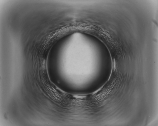 X0000098161492200804171546