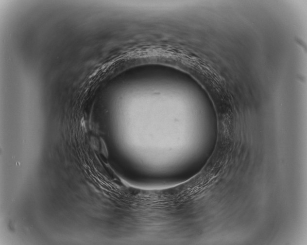 X0000098161493200804171546