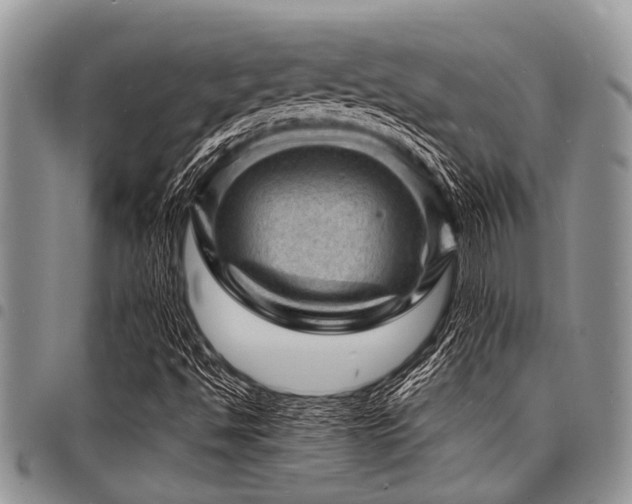 X0000098161494200804171546