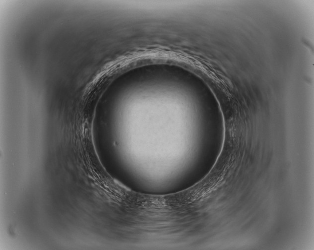 X0000098161495200804171546