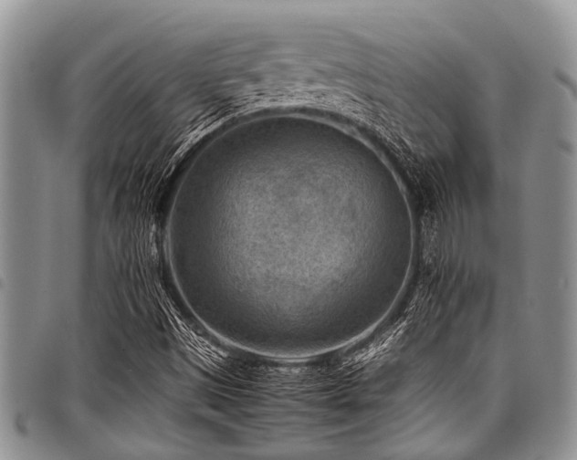 X0000098161497200804171546