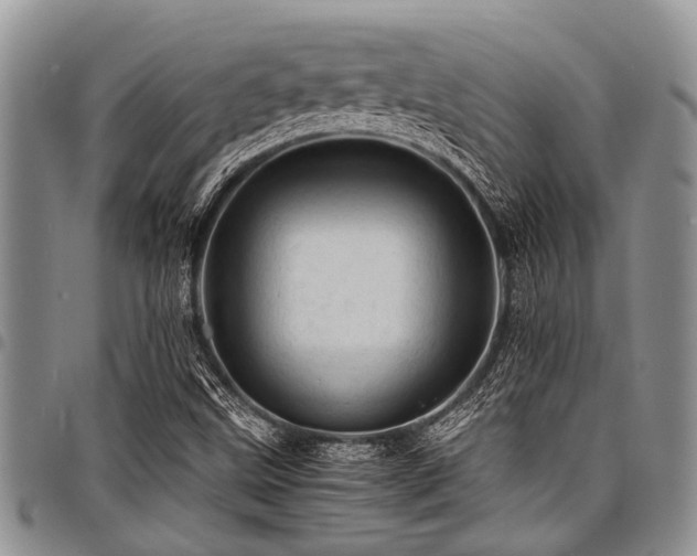 X0000098161499200804171546
