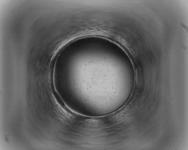 X0000098161500200804171546