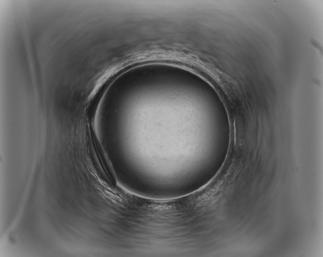 X0000098161501200804171546
