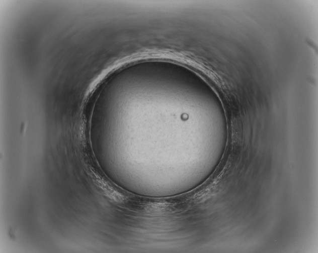 X0000098161502200804171546