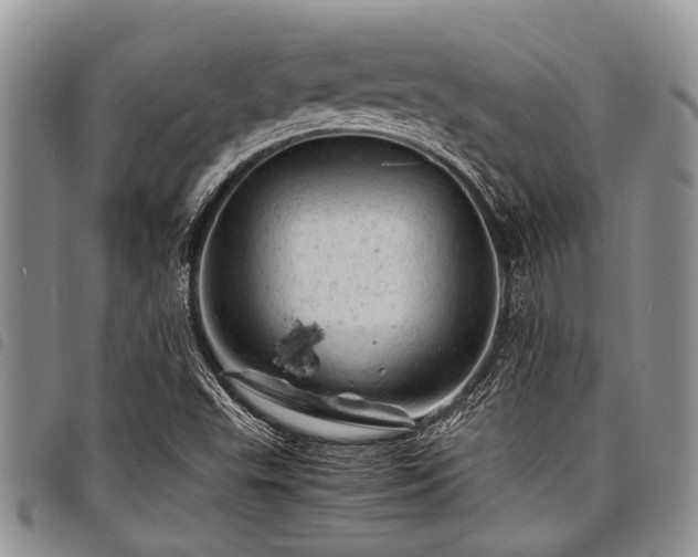 X0000098161503200804171546