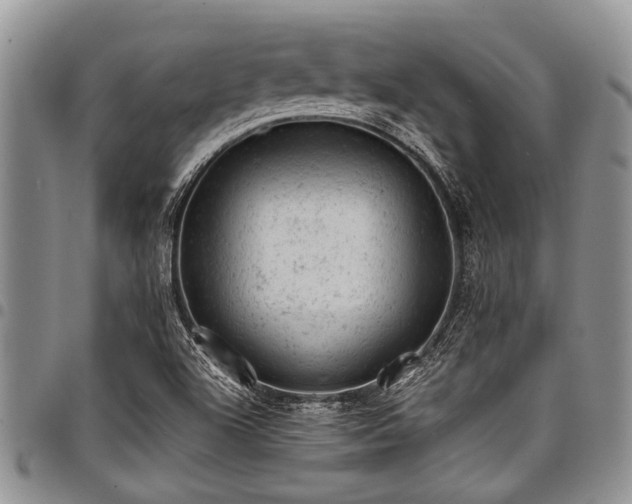 X0000098161504200804171546