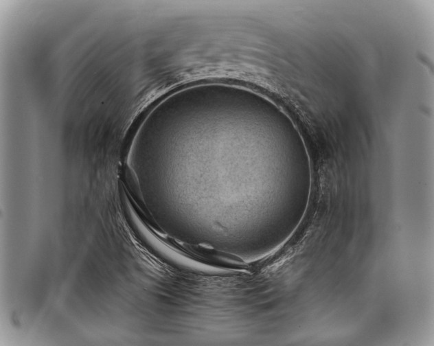 X0000098161505200804171546