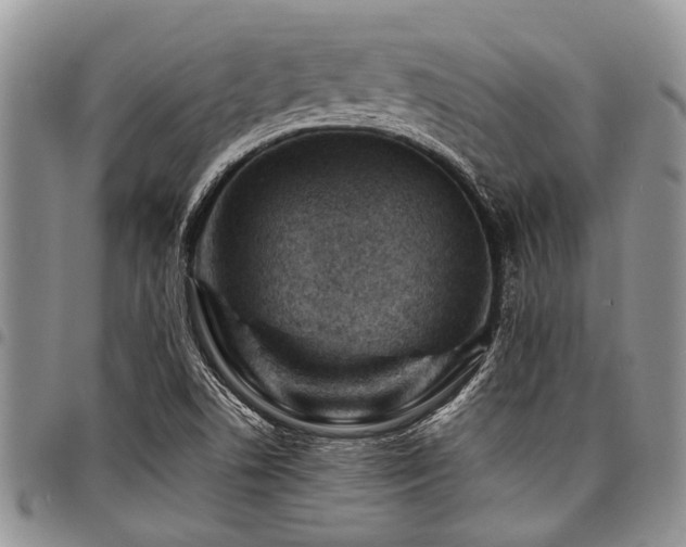 X0000098161506200804171546