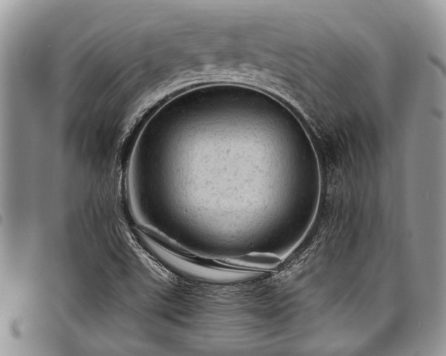 X0000098161507200804171546