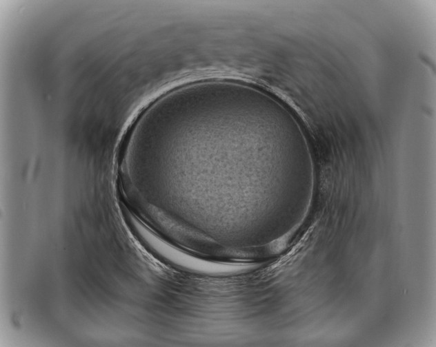 X0000098161508200804171546