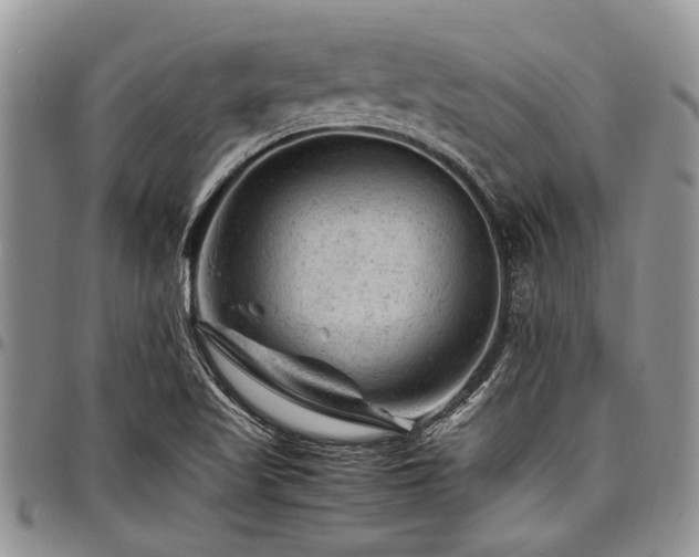 X0000098161509200804171546