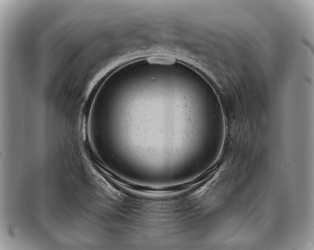 X0000098161510200804171546