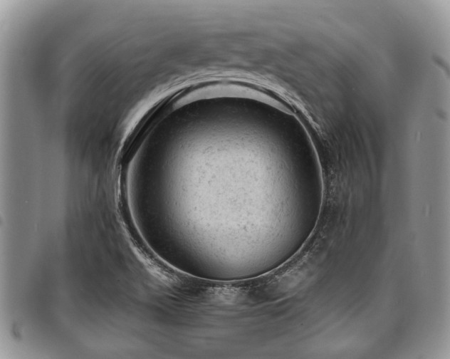 X0000098161511200804171546