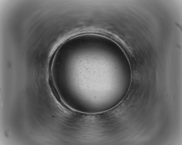 X0000098161512200804171546