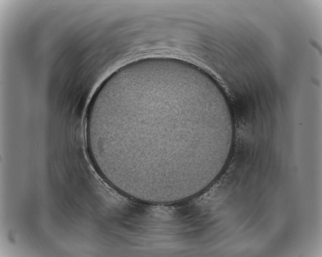 X0000098161514200804171546
