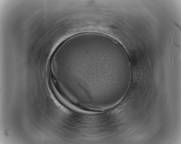 X0000098161515200804171546