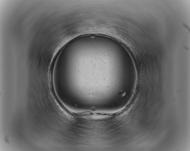 X0000098161517200804171546