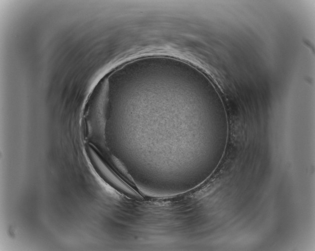 X0000098161519200804171546