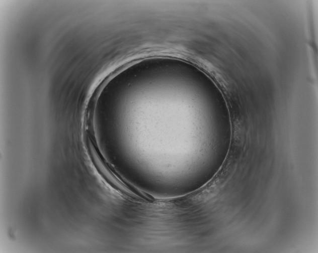 X0000098161520200804171546
