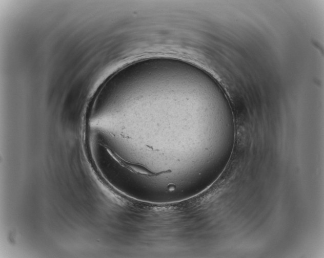 X0000098161523200804171546