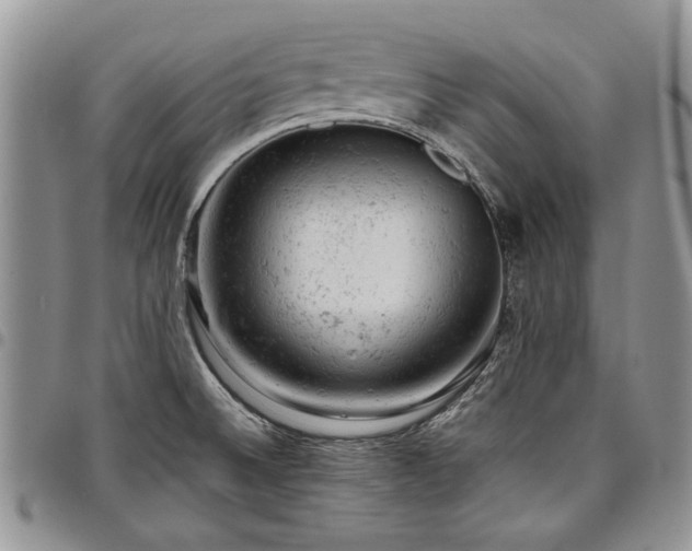X0000098161524200804171546