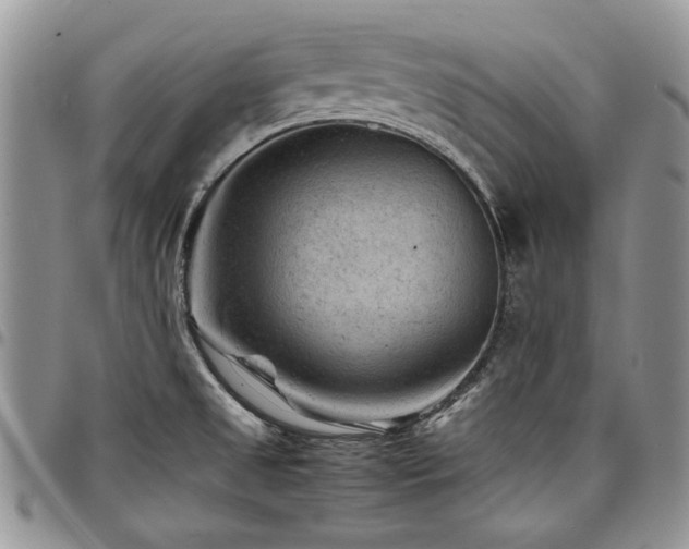 X0000098161525200804171546