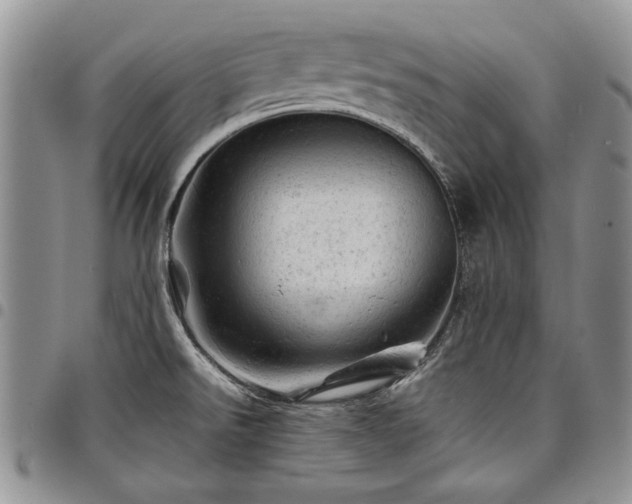 X0000098161526200804171546