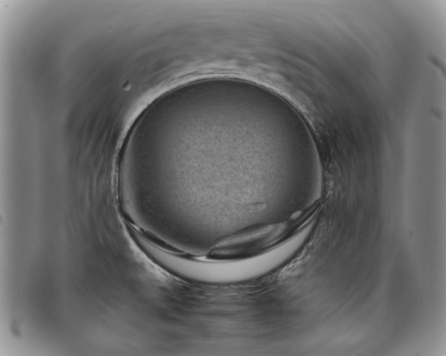 X0000098161527200804171546