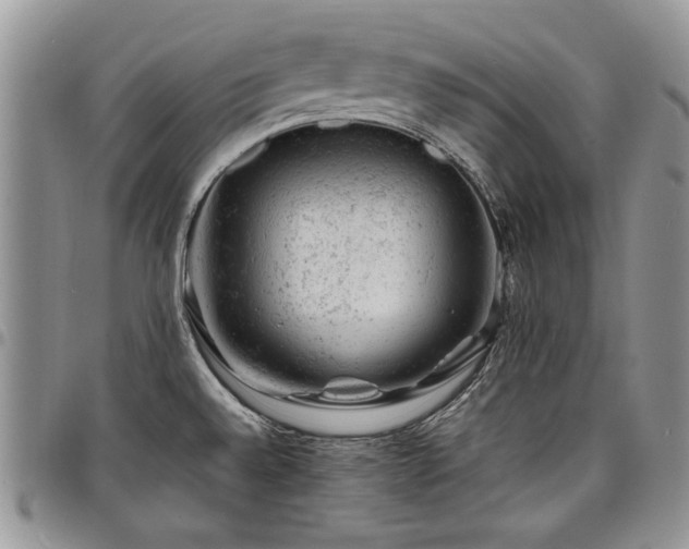 X0000098161528200804171546