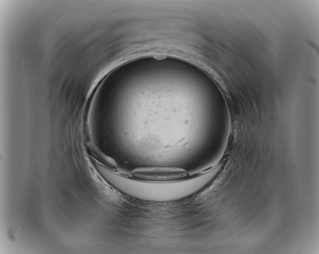 X0000098161530200804171546
