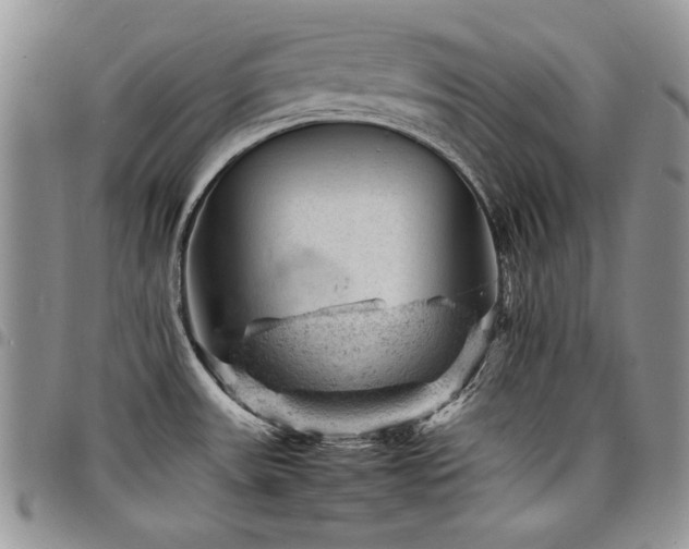 X0000098161531200804171546