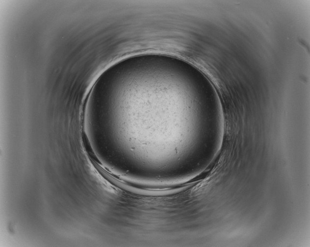 X0000098161532200804171546