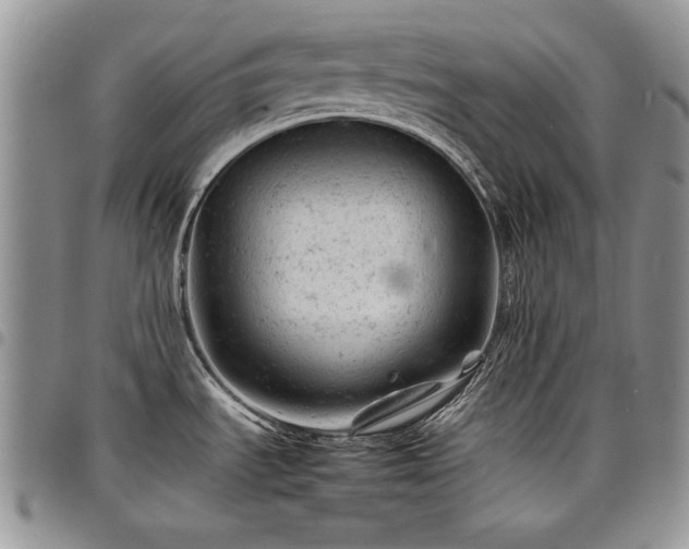 X0000098161535200804171546
