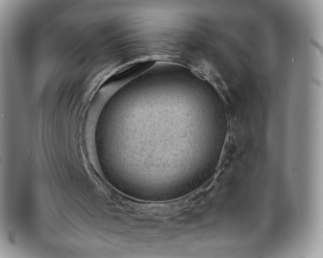 X0000098160001200804241814