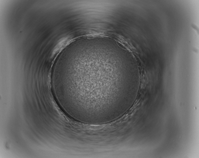 X0000098160002200804241814