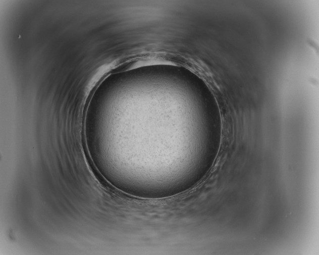 X0000098160003200804241814