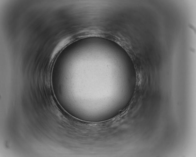 X0000098160004200804241814