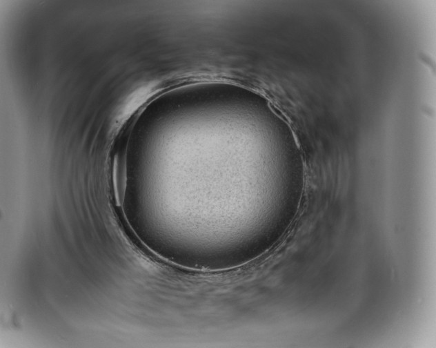 X0000098160005200804241814
