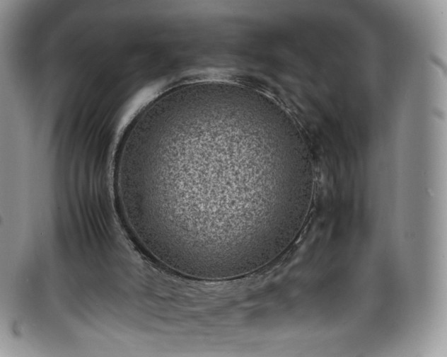 X0000098160006200804241814