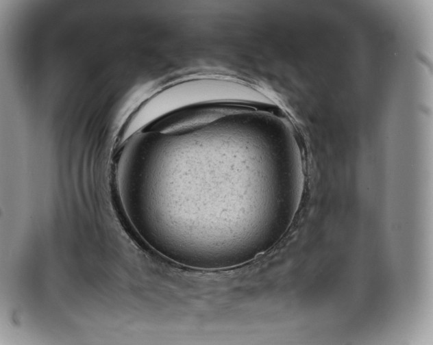 X0000098160007200804241814