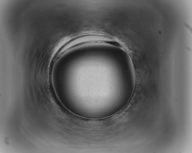 X0000098160008200804241814