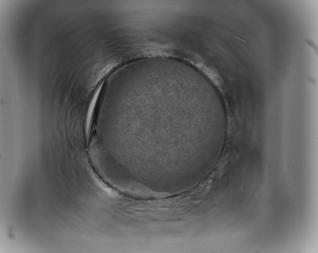 X0000098160009200804241814