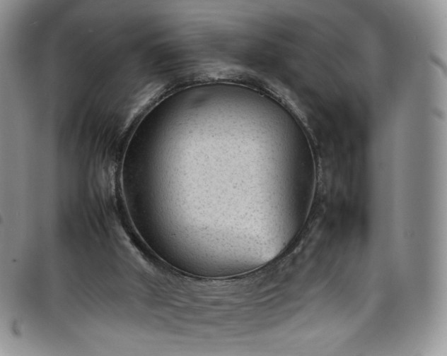 X0000098160010200804241814
