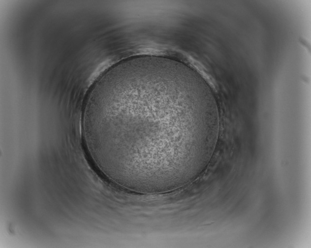 X0000098160011200804241814
