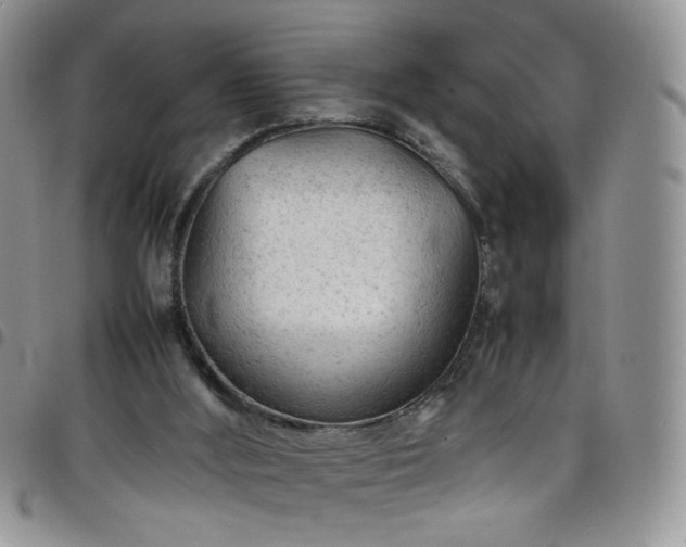 X0000098160012200804241814