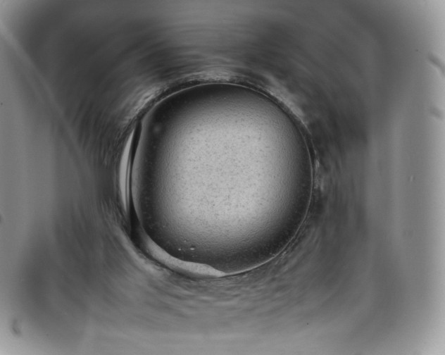 X0000098160013200804241814