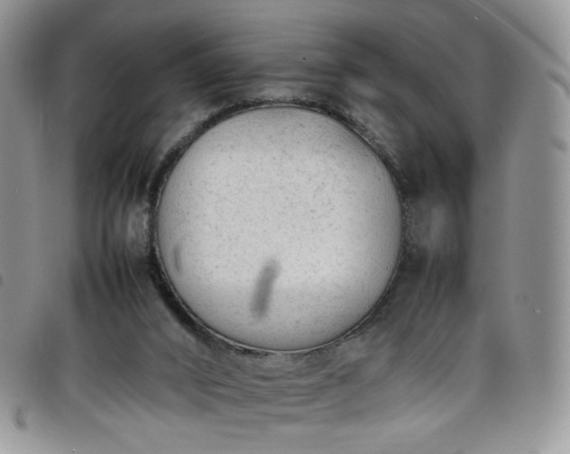 X0000098160016200804241814