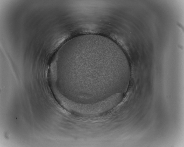 X0000098160017200804241814