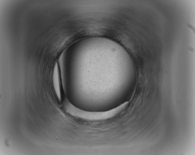 X0000098160021200804241814